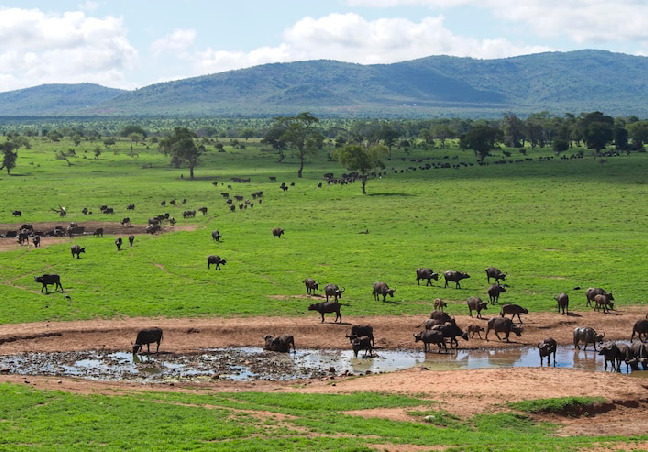Kenya Group Tour